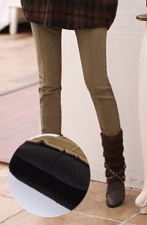 Djibouti Velvet Paneled Jeggings (S-4XL)
